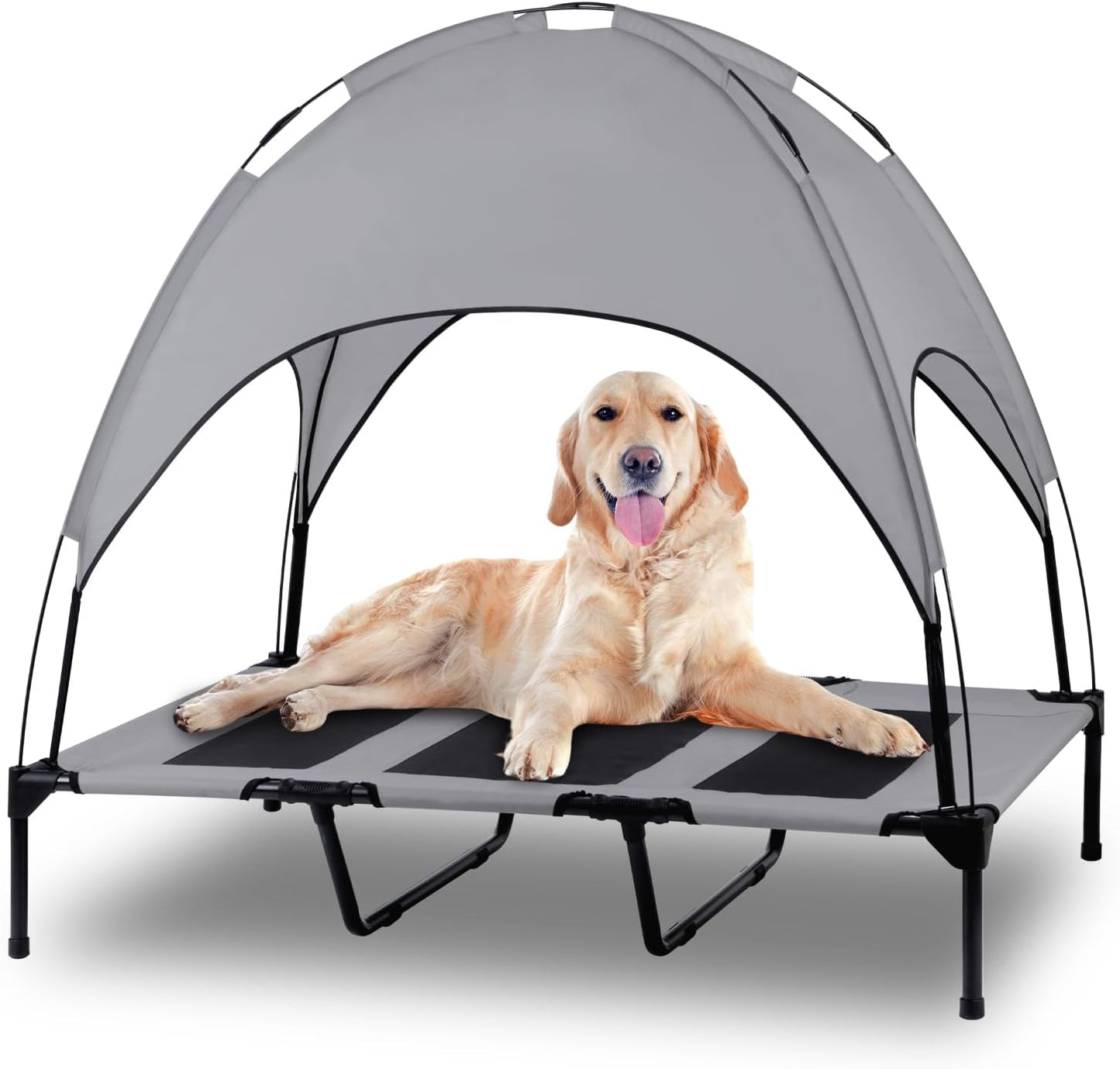 Elevated Outdoor Dog Bed
