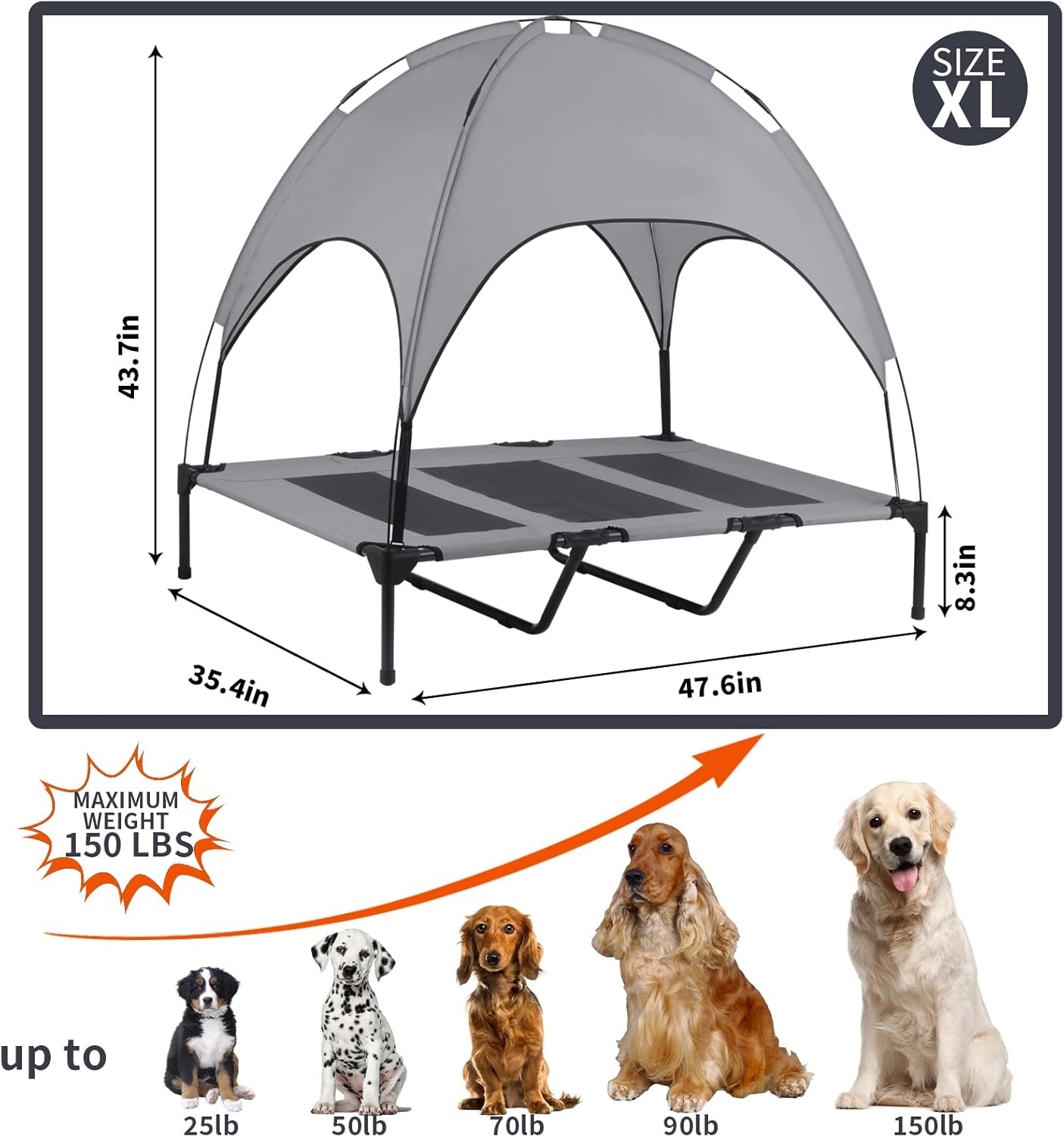 Elevated Outdoor Dog Bed
