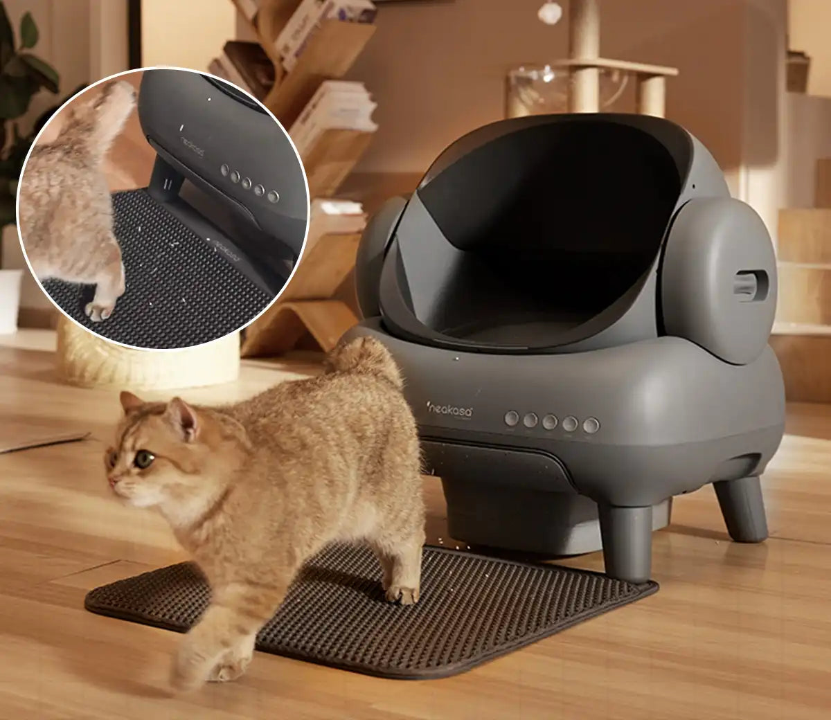 Open-Top Self Cleaning Cat Litter Box