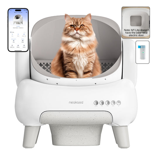 Open-Top Self Cleaning Cat Litter Box
